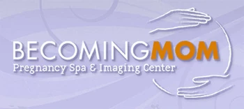 Becoming Mom Franchising Informaton