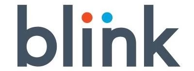 blink Franchising Informaton