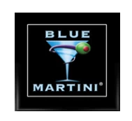 Blue Martini Franchising Informaton