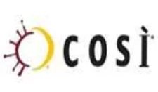 Cosi Franchising Informaton