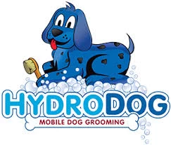 HydroDog Franchising Informaton
