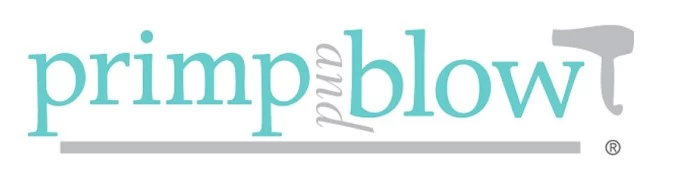 Primp and Blow, a Blow Dry Bar Franchising Informaton