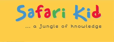 Safari Kid Franchising Informaton