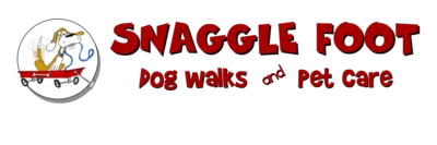 Snaggle Foot Franchising Informaton