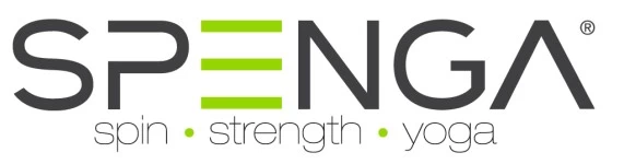 Spenga Franchising Informaton