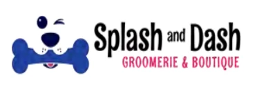 Splash and Dash Franchising Informaton