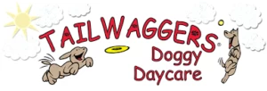 TailWaggers Doggy Daycare Franchising Informaton