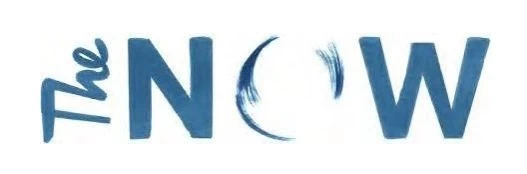 THE NOW FRANCHISE Franchising Informaton