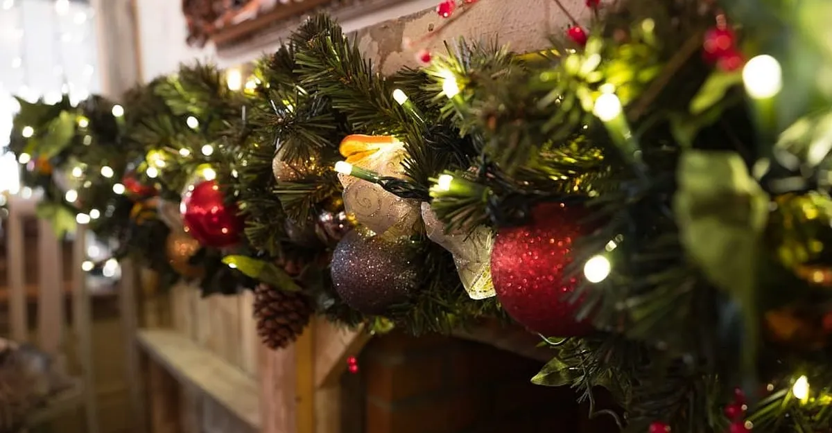 Christmas Decor Franchising Informaton