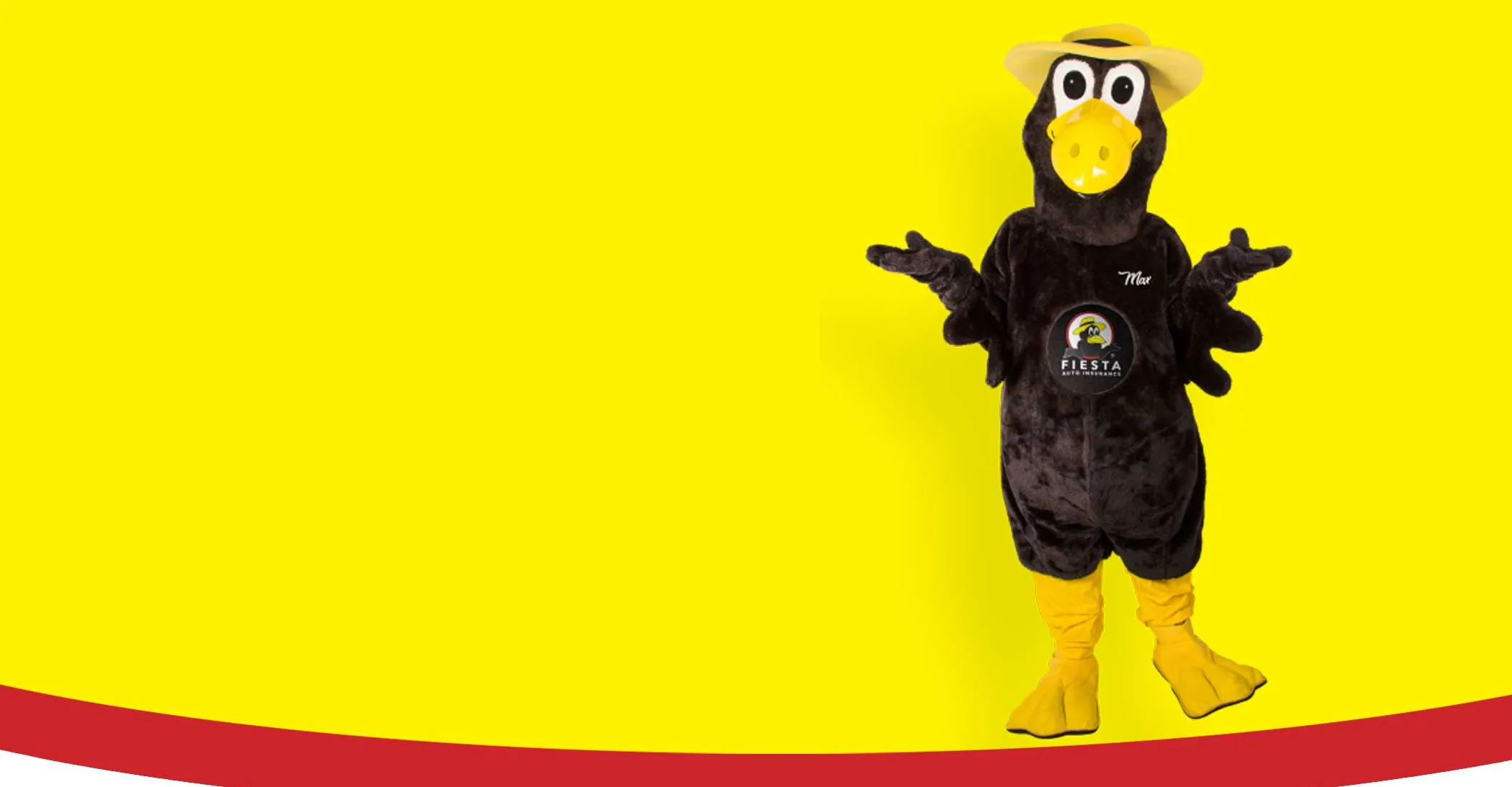 Fiesta Insurance Franchising Informaton