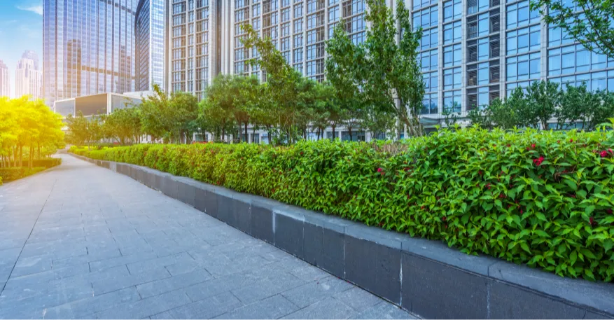 Frontier Adjusters Franchising Informaton