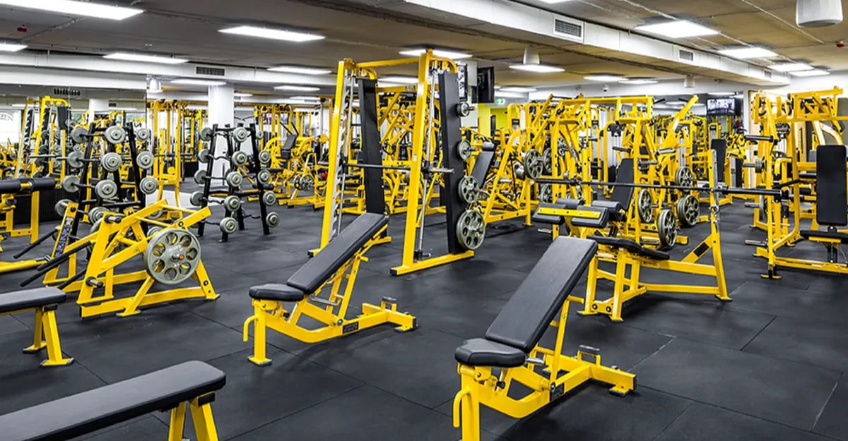 Gold's Gym Franchising Informaton