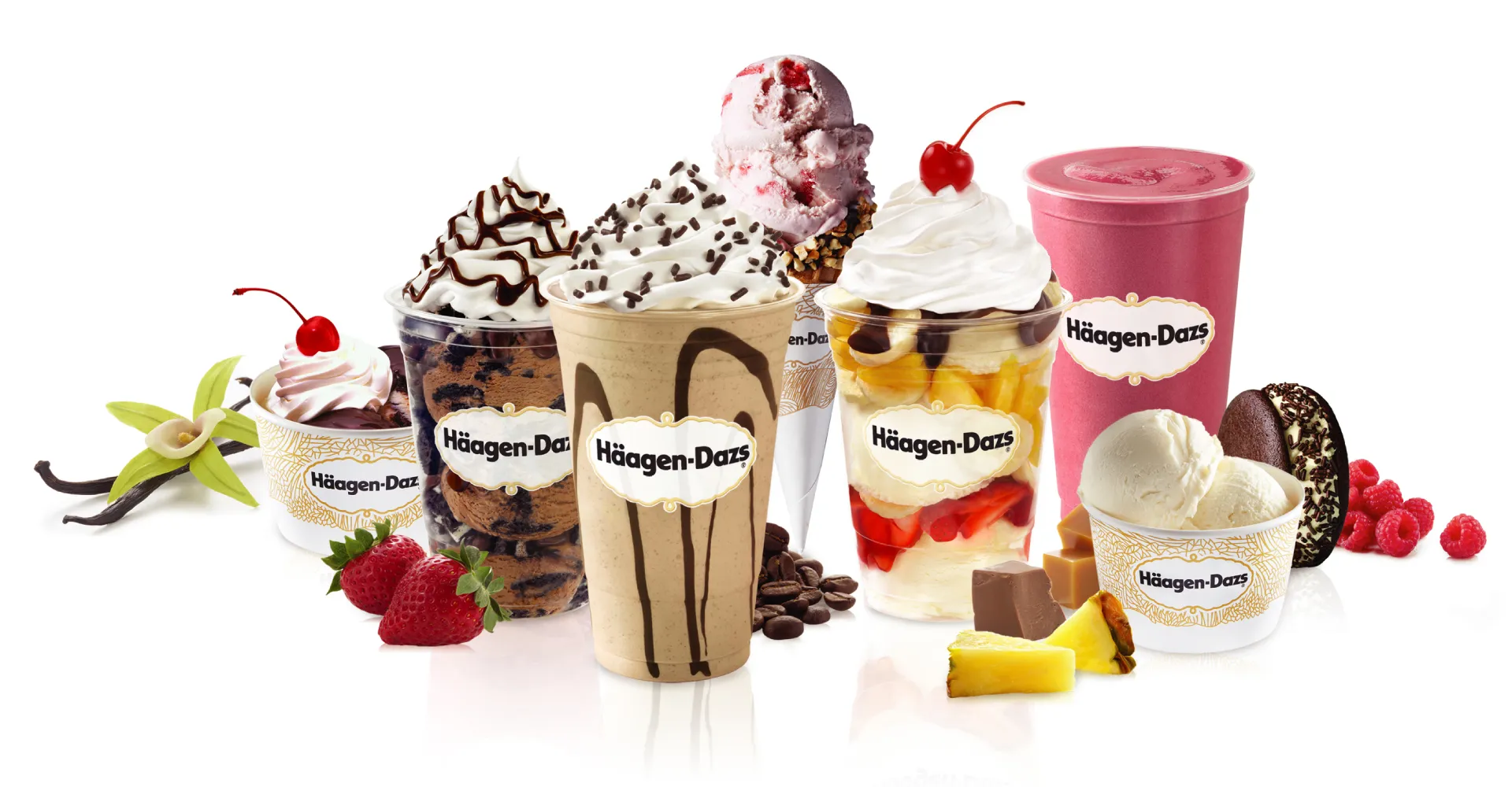 Haagen-Dazs Franchising Informaton