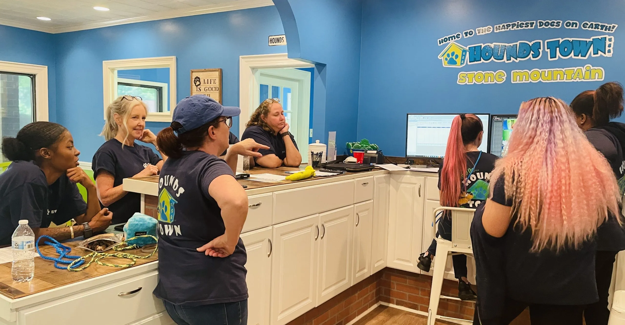 Hounds Town USA Franchising Informaton