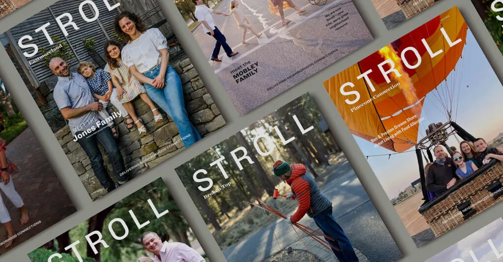 N2 Publishing Franchising Informaton