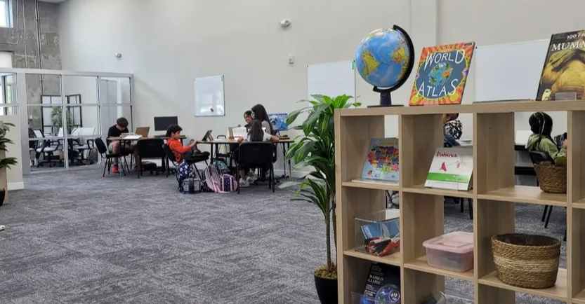 Omega Learning Center Franchising Informaton