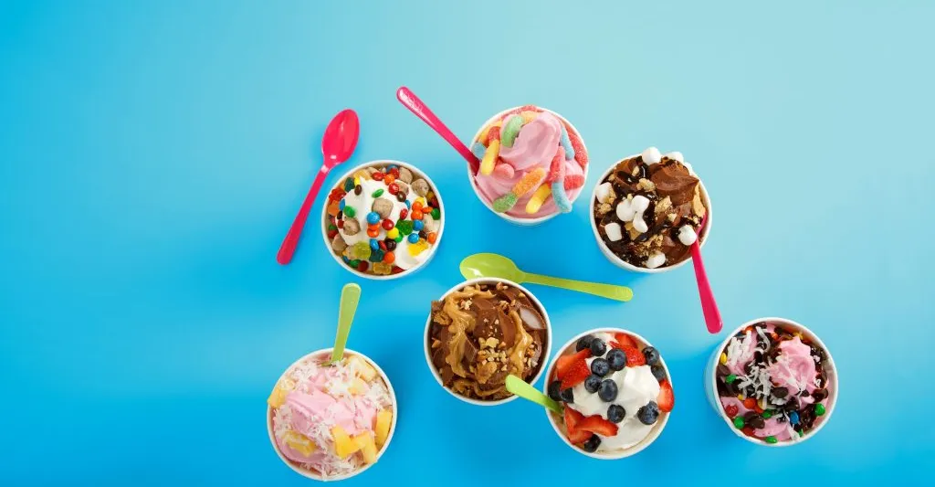 TCBY Franchising Informaton