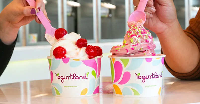 Yogurtland Franchising Informaton