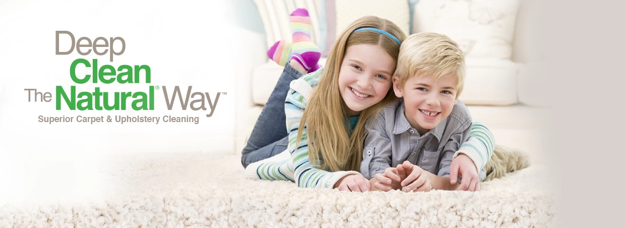 Chem-Dry Franchising Informaton