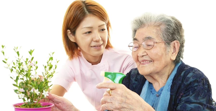 Home Helpers Franchising Informaton