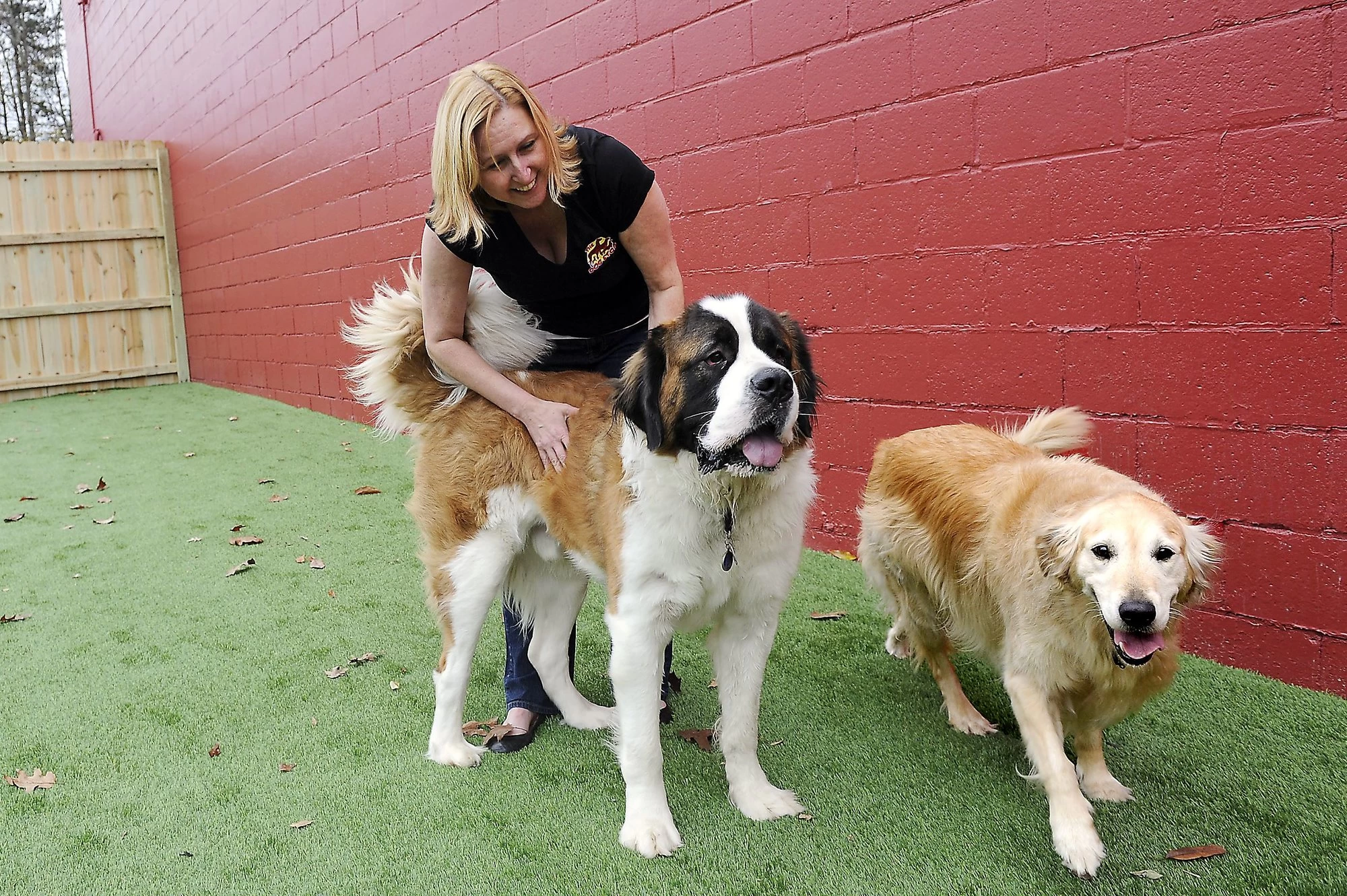 The Dog Stop Franchising Informaton